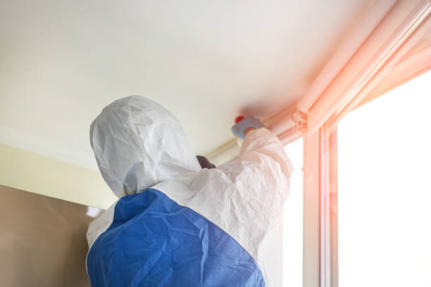 Professional Mold Removal in Coalville, UT